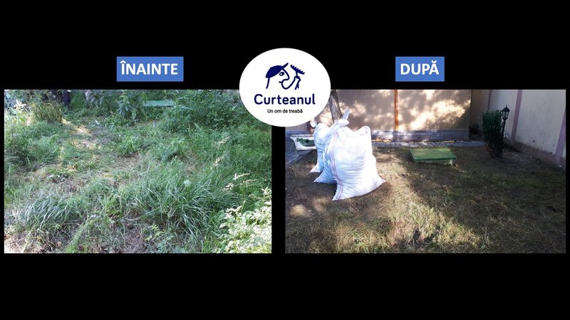 Servicii de calitate pentru curatenia zonelor de curte